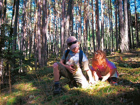 erlebniswandern